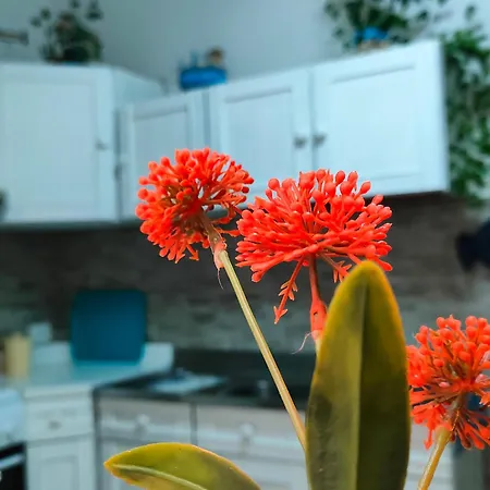 Angela 's House Apartamento Pozzallo